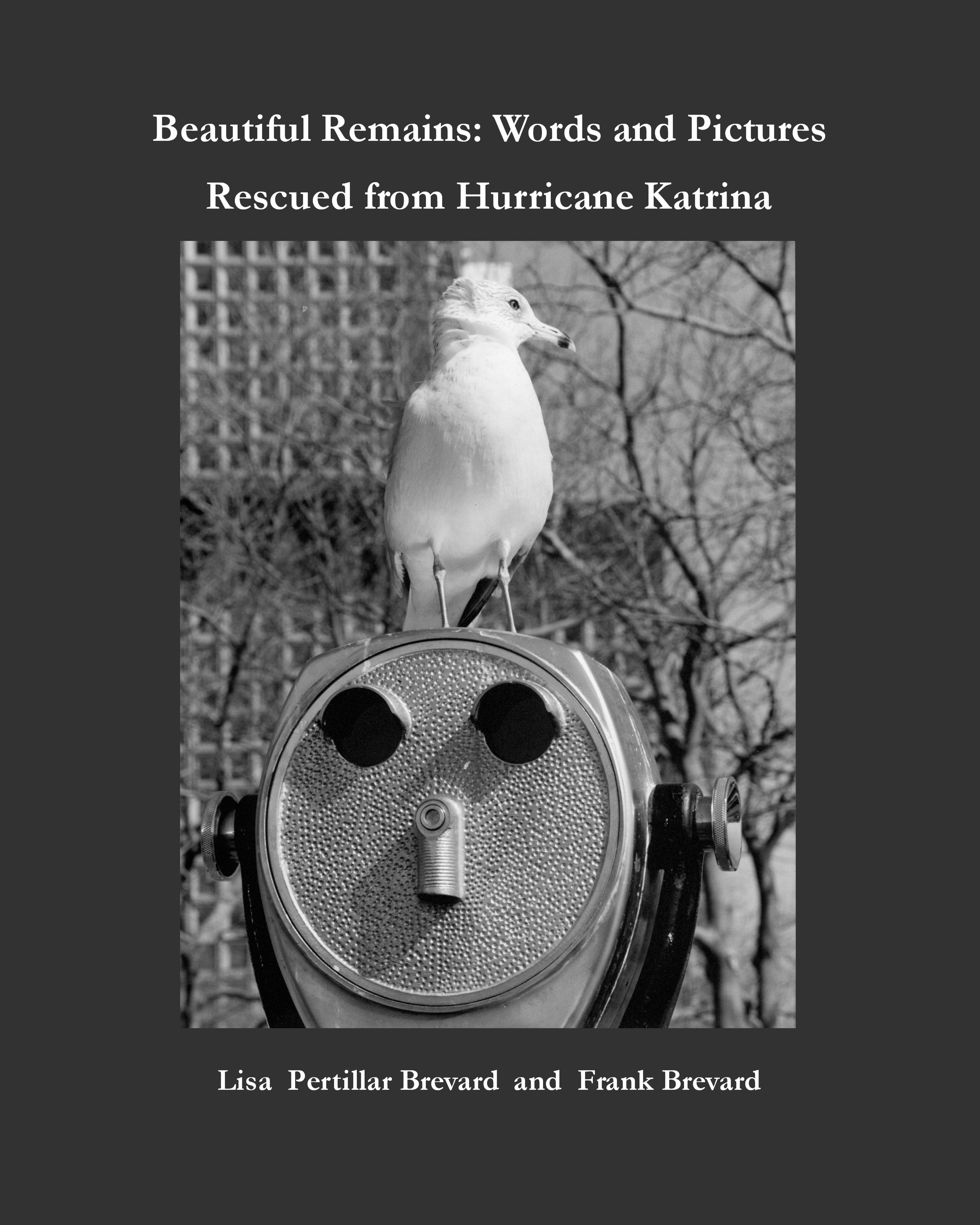 Beautiful Remains:  Words and Pictures Rescued from Hurricane Katrina 