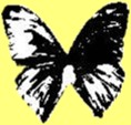 Fly to Black Butterfly Records Home Page