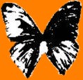Fly to Black Butterfly Records Home Page
