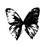 Click on Black Butterfly to return to Black Butterfly Records Home Page