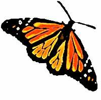 Fly to Monarch Baby Publishing Home Page